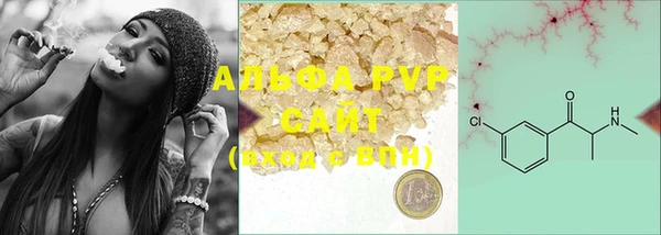 стафф Володарск