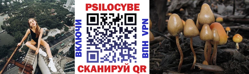 даркнет как зайти  Чусовой  Галлюциногенные грибы Psilocybe 